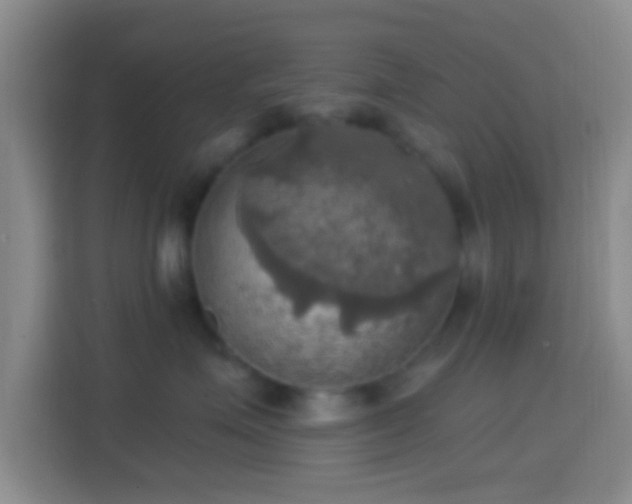 X0000114420623200910231207
