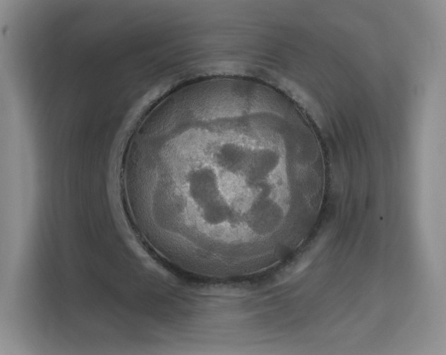 X0000114420625200910231207