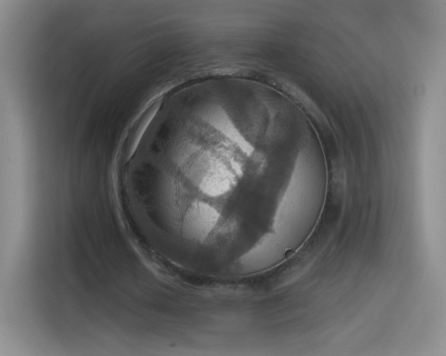 X0000114420626200910231207