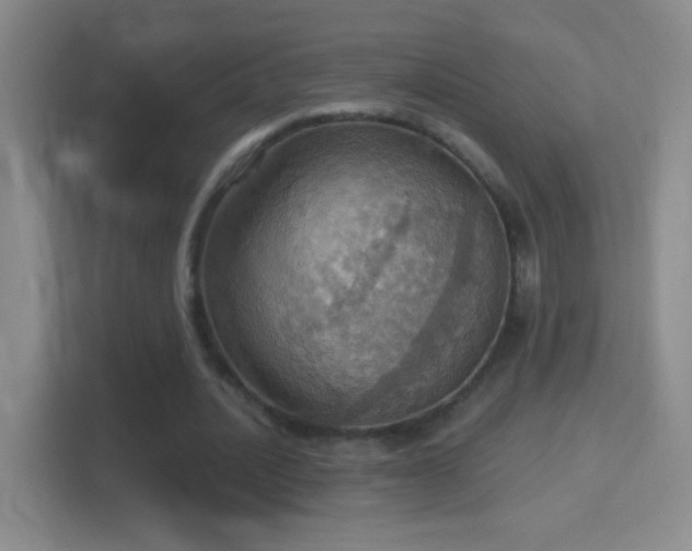 X0000114420628200910231207