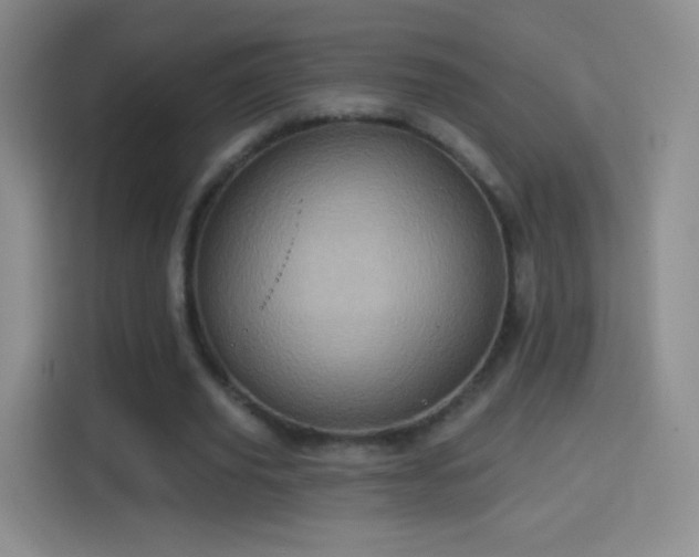 X0000114420629200910231207