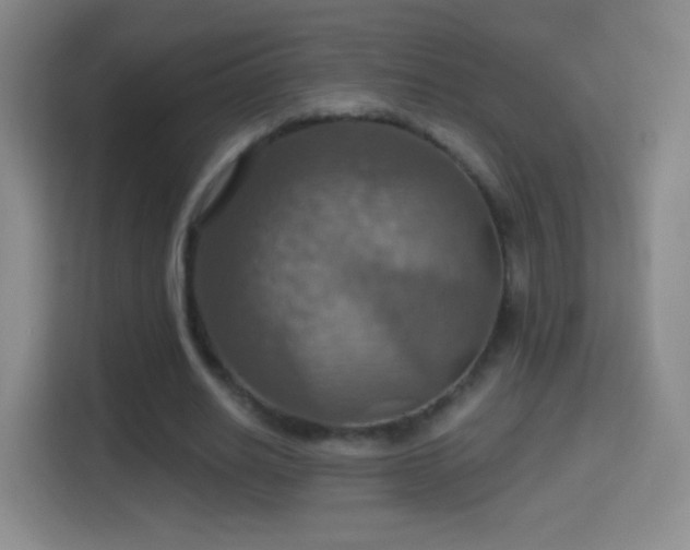 X0000114420630200910231207