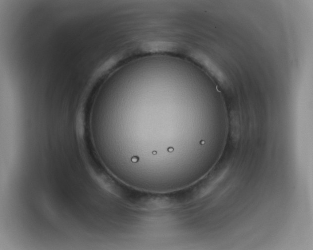X0000114420631200910231207