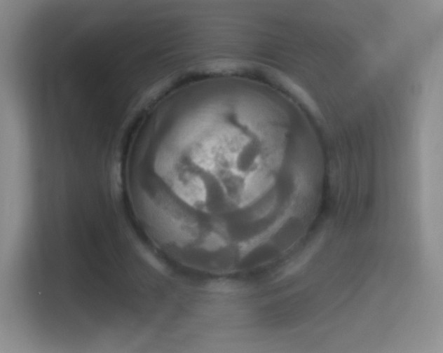 X0000114420633200910231207