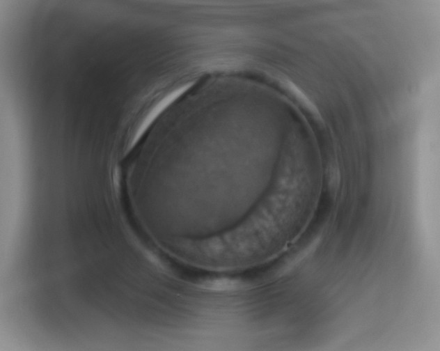 X0000114420637200910231207