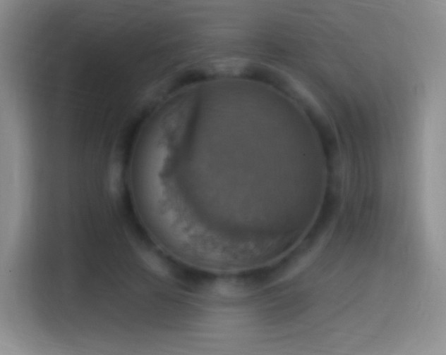 X0000114420641200910231207