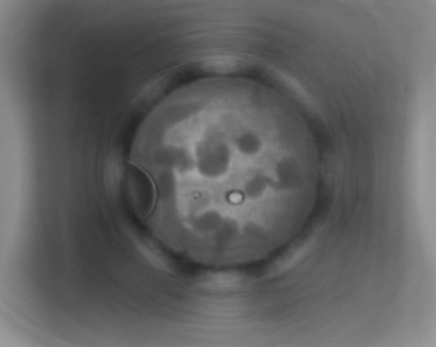 X0000114420645200910231207