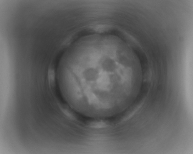 X0000114420646200910231207