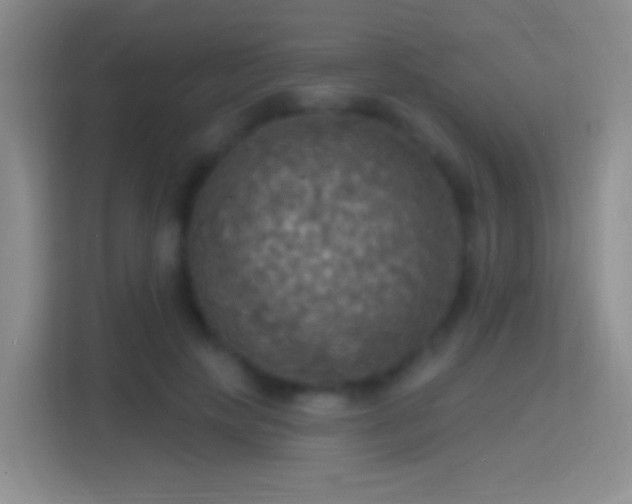 X0000114420649200910231207