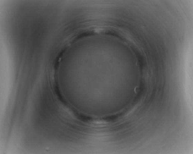 X0000114420650200910231207