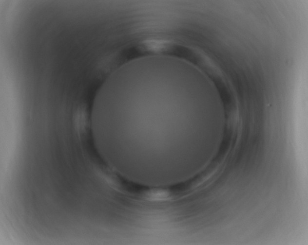 X0000114420651200910231207