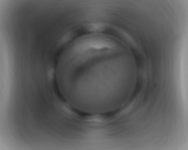 X0000114420652200910231207