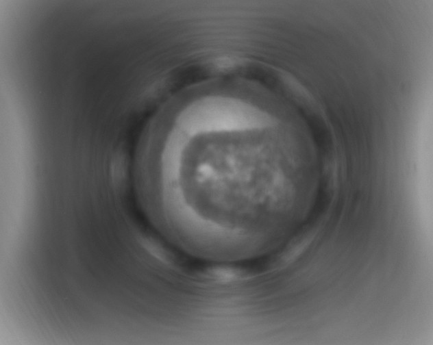 X0000114420654200910231207