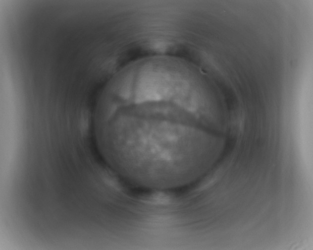 X0000114420656200910231207