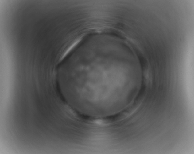 X0000114420657200910231207