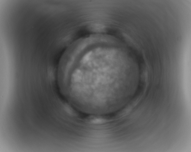 X0000114420658200910231207