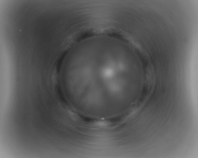 X0000114420659200910231207