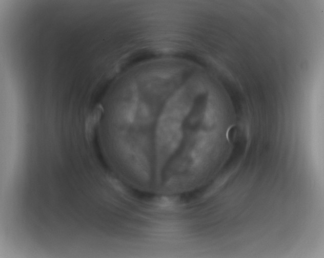 X0000114420660200910231207