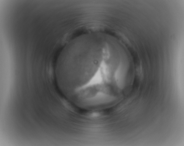 X0000114420662200910231207