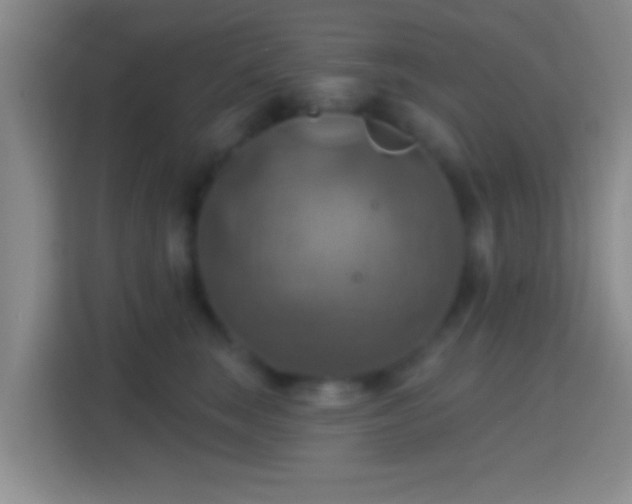 X0000114420663200910231207