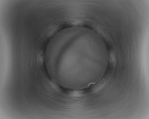 X0000114420664200910231207
