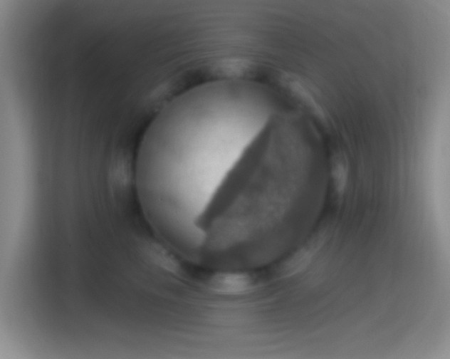 X0000114420665200910231207