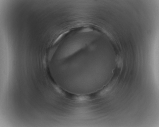 X0000114420670200910231207