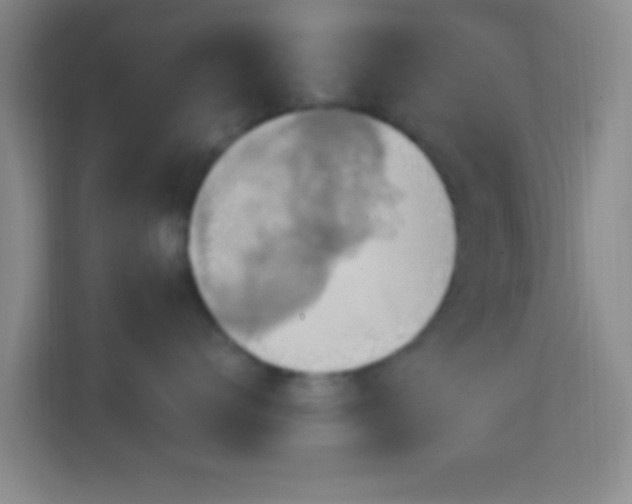 X0000114420672200910231207
