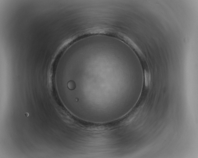 X0000114420675200910231207