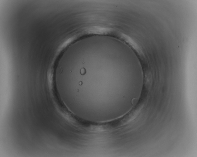 X0000114420679200910231207