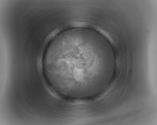 X0000114420682200910231207