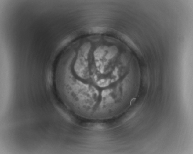 X0000114420683200910231207