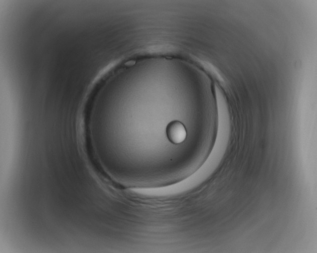 X0000114420684200910231207