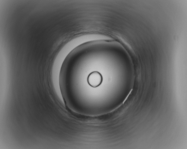 X0000114420685200910231207