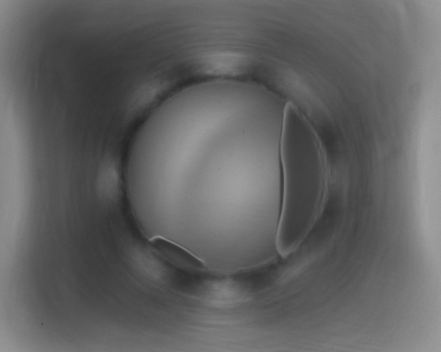 X0000114420688200910231206