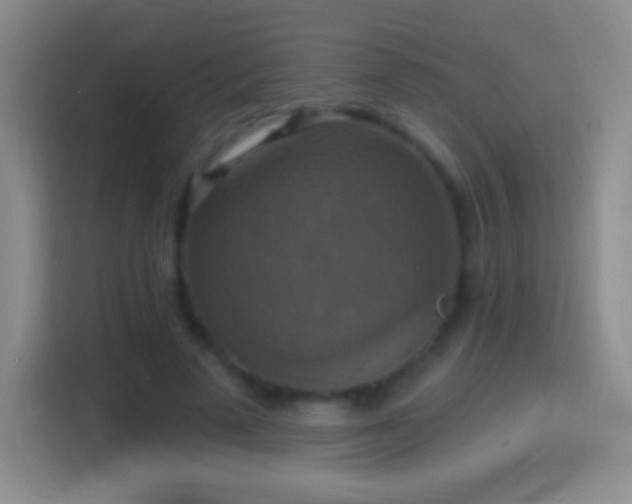 X0000114420689200910231206