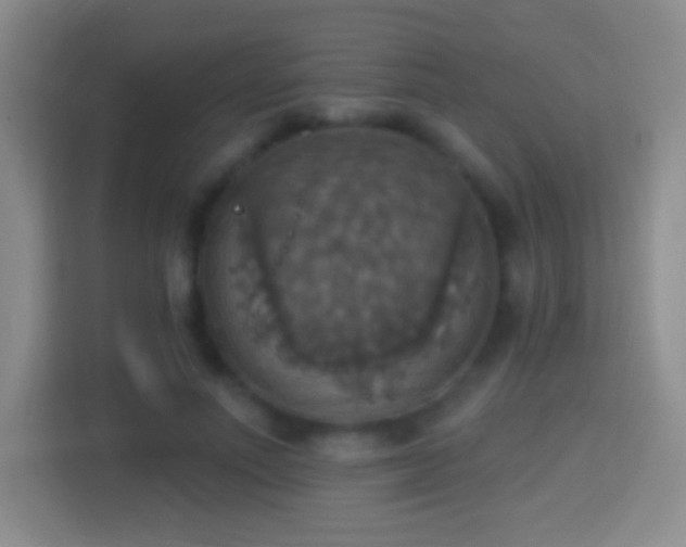 X0000114420691200910231206