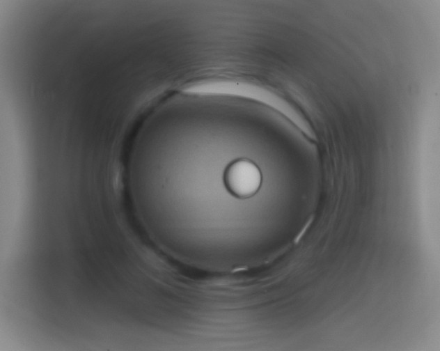 X0000114420692200910231206
