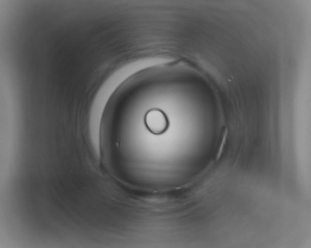 X0000114420693200910231206