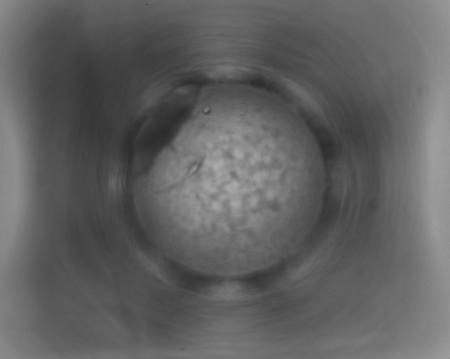 X0000114420695200910231206