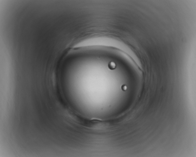 X0000114420700200910231206
