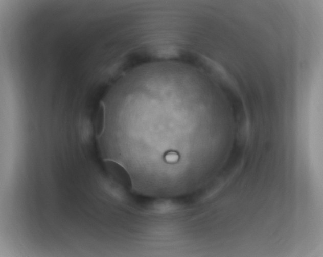 X0000114420704200910231206