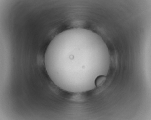 X0000114420705200910231206