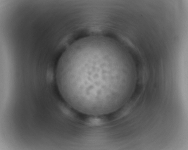 X0000114420706200910231206