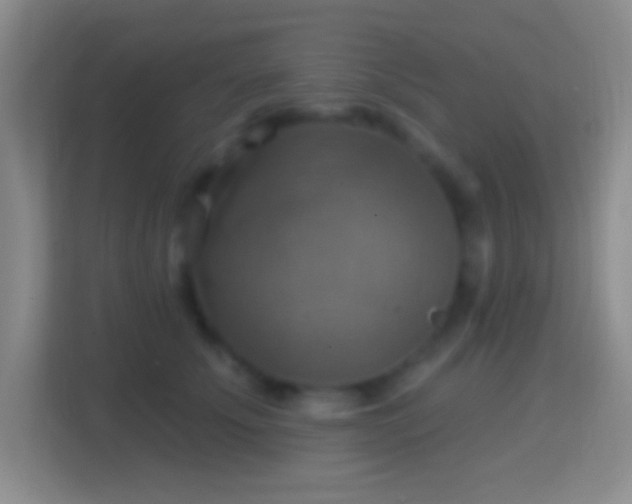 X0000114420707200910231206