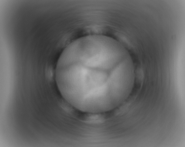 X0000114420709200910231206