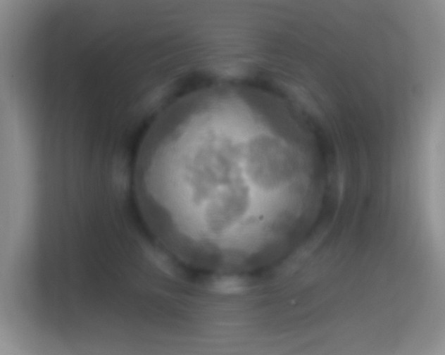X0000114420710200910231206