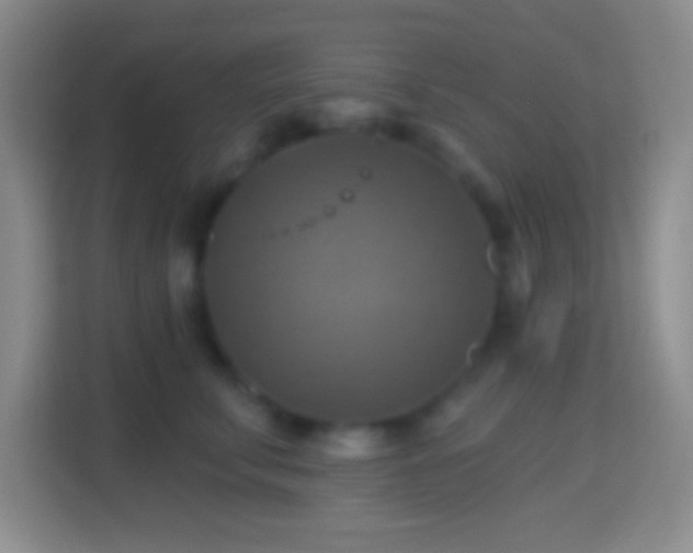 X0000114420711200910231206