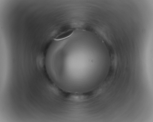X0000114420712200910231206