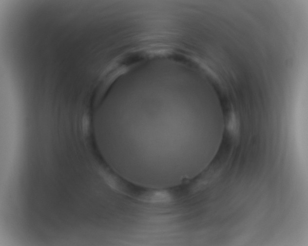 X0000114420715200910231206